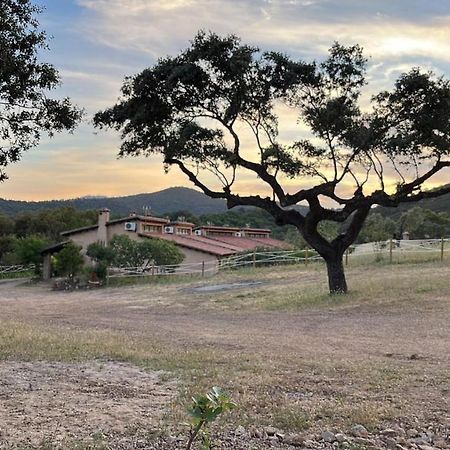 Apartamentos Rurales En Plena Sierra La Calera Luaran gambar