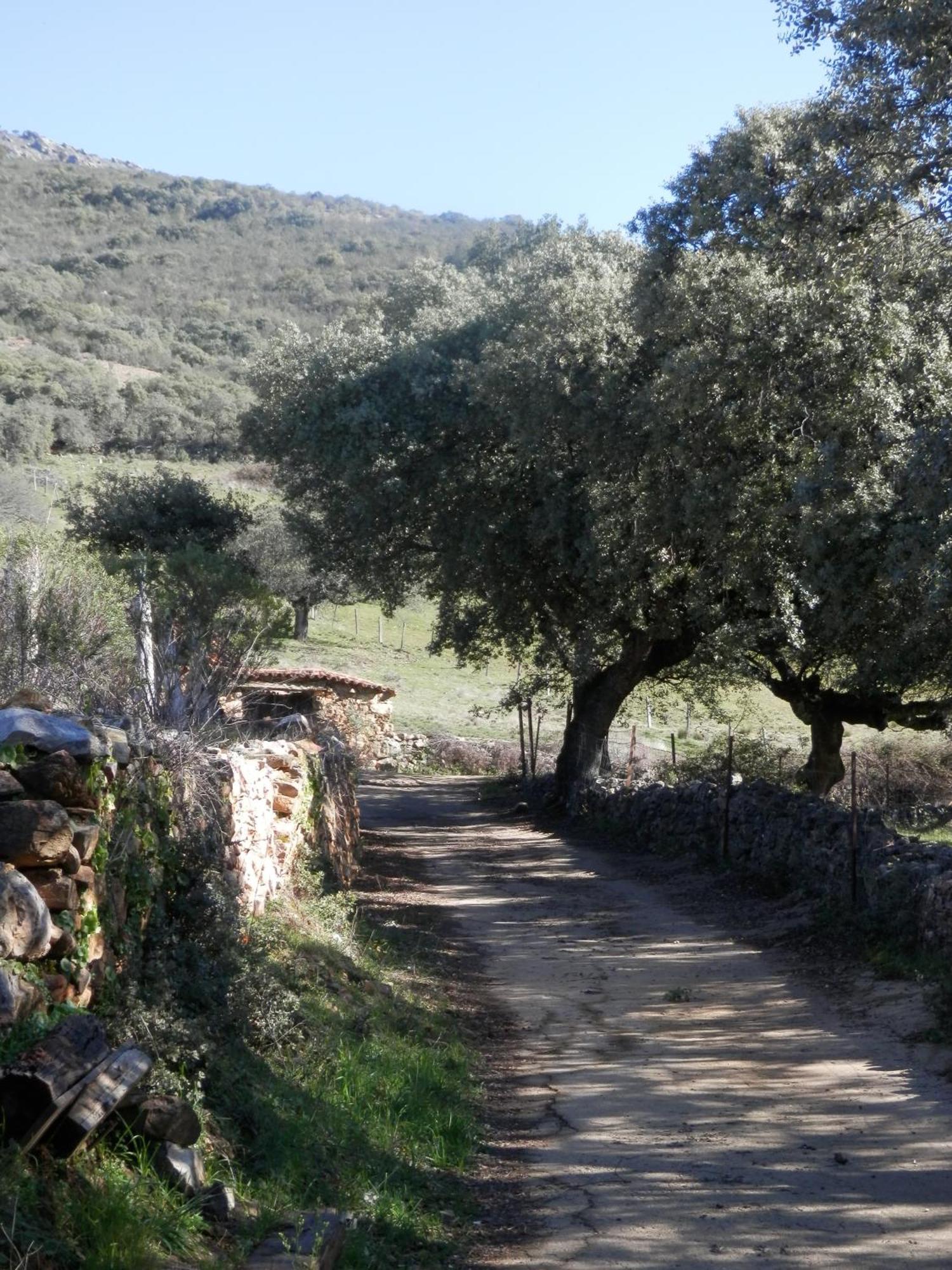 Apartamentos Rurales En Plena Sierra La Calera Luaran gambar